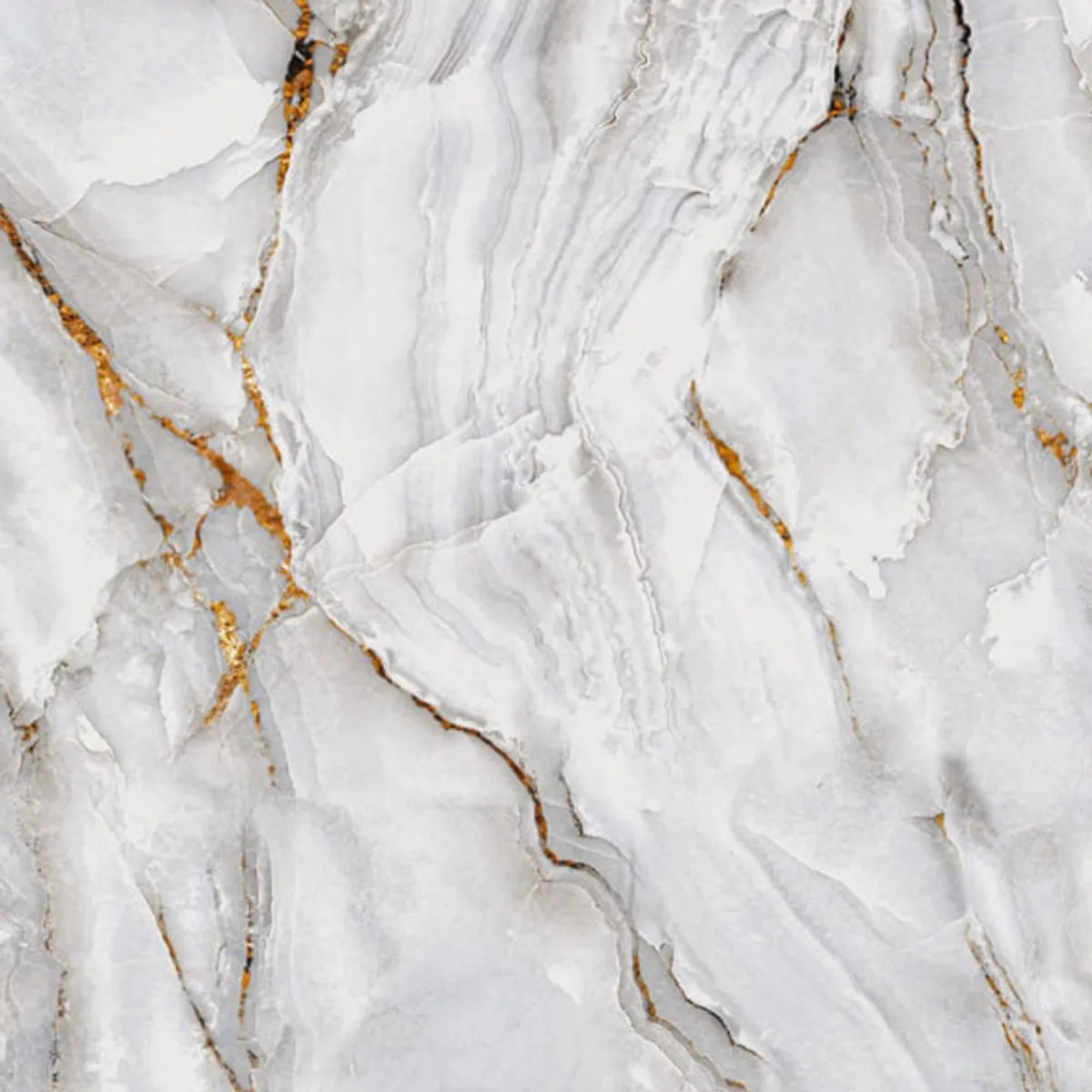 Piso 81x81 Primus Polido Retificado Lb Cx1.97m2 Formigres